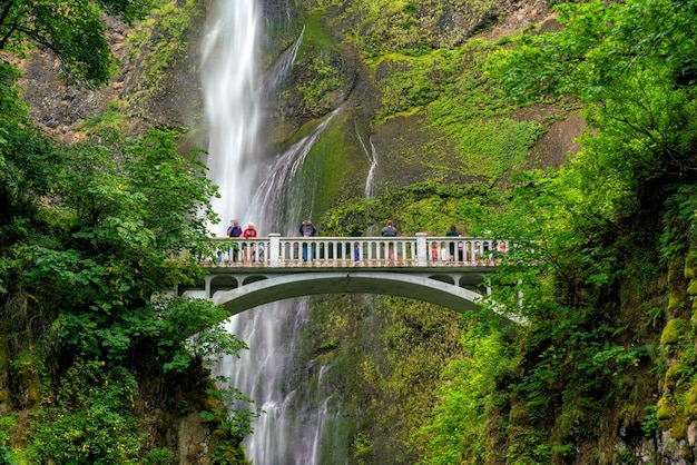 Multnomah Falls in the Columbia River Gorge