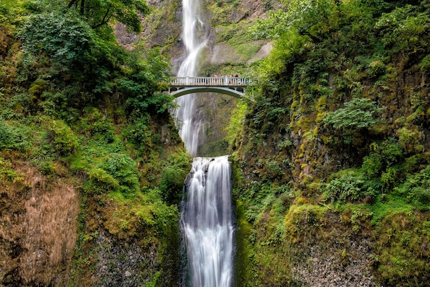 Multnomah Falls in the Columbia River Gorge