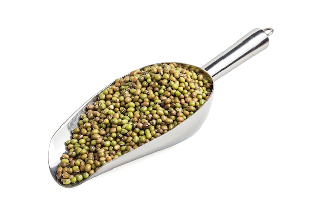 Mung bean