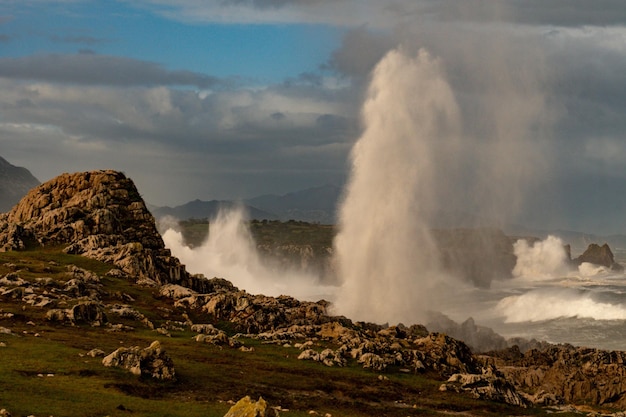 Muniellos comprehensive natural reserve in Asturias