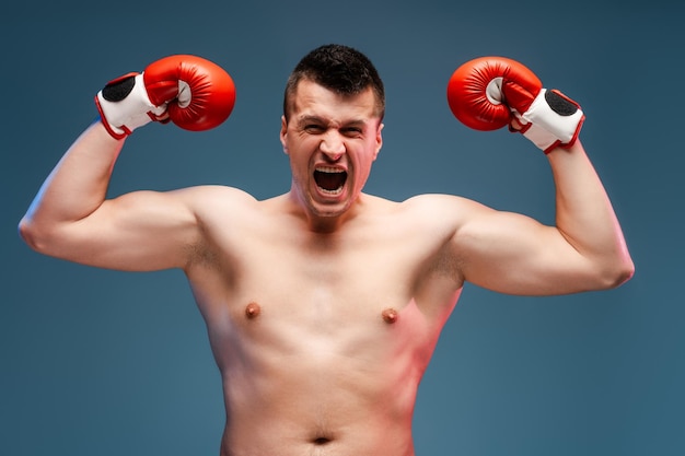 Muscular boxer showing muscles and shouting with boxing gloves