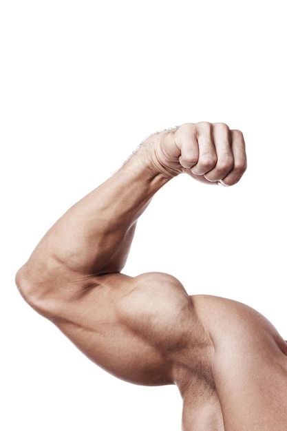 Photo muscular male arm with bicep peak