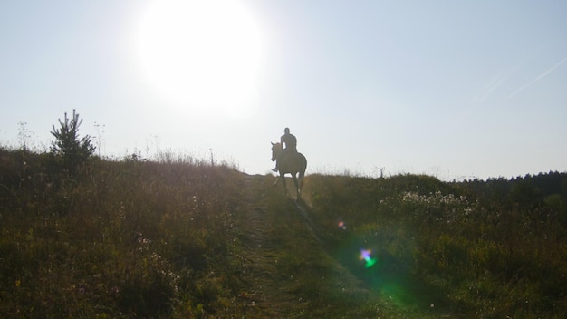 Muscular man without shirt riding horse in nature distant plan