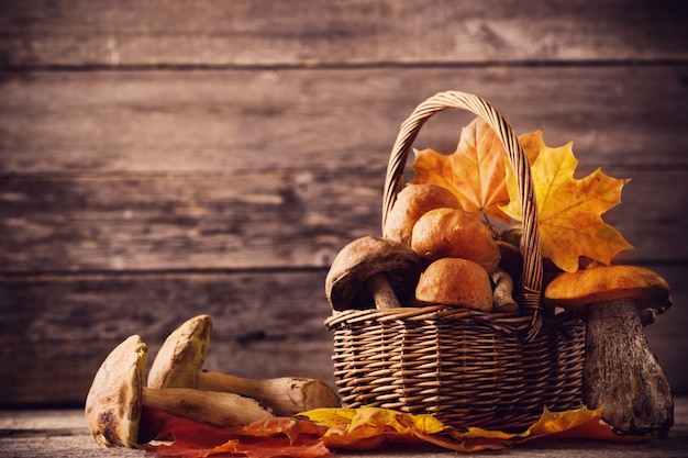 Mushroom Boletus over Wooden Background