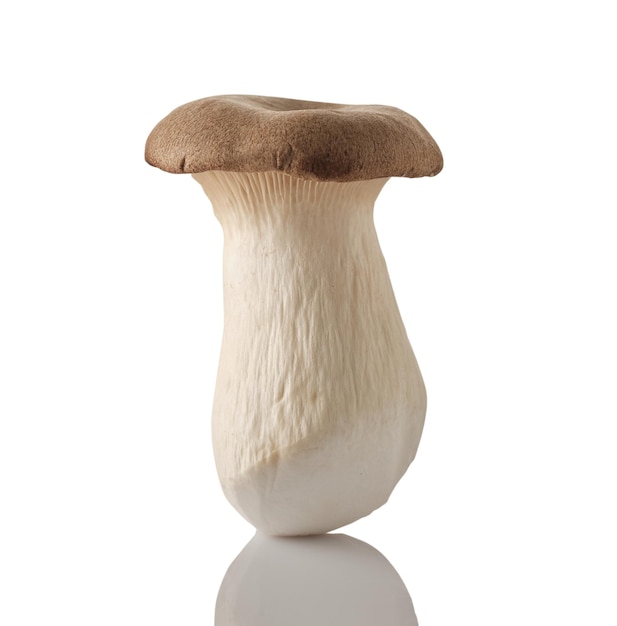 Mushroom ering isolated on white background