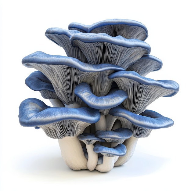 a mushroom with a blue cap and a white background