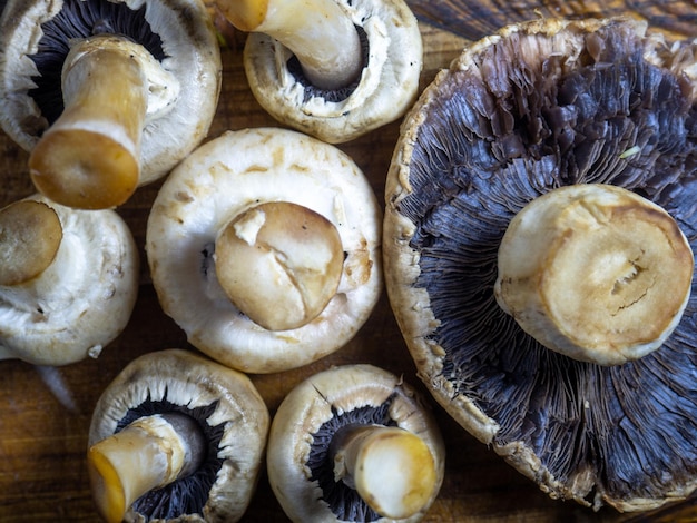 Mushrooms on a cutting board champignons of different sizes on the table Closeup of mushrooms Ingredient for a dish Cooking dinner Raw champignons Vegetarianism