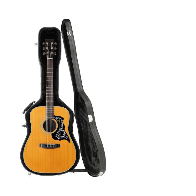 Musical instrument Acoustic guitar hard case isolated white background