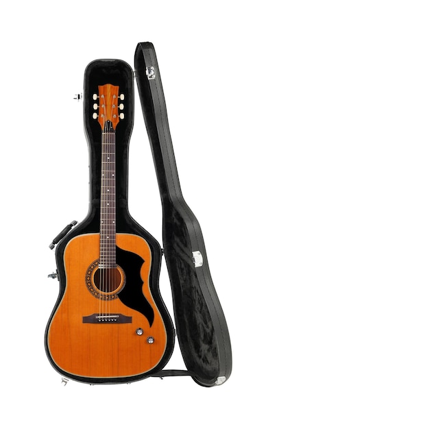 Musical instrument Acoustic guitar hard case isolated white background