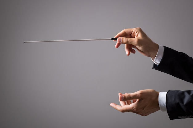 Musician director holding stick isolated on grey