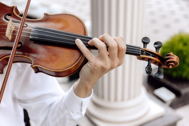 musician playing violin