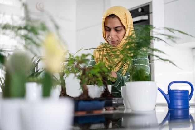 Muslim housewife at home watering plants in kitchen