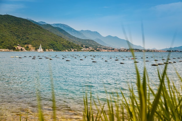 Mussel and oyster farm