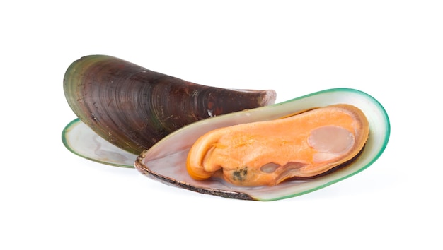 mussels boiled isolated on white background