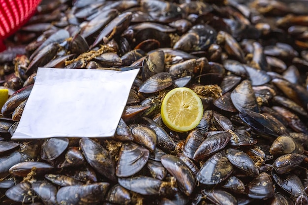 Mussels in the net at one of the fish stall that you can find at the fish market in Catania. Italy.