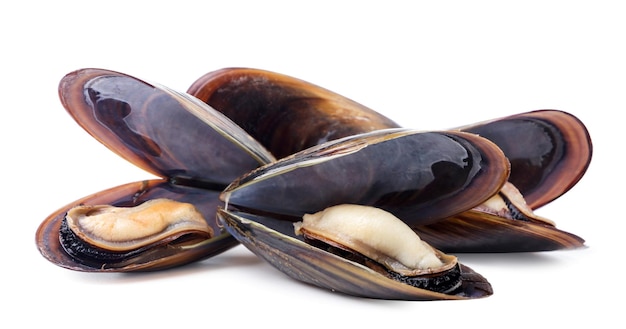 Mussels in seashells on a white background Isolated