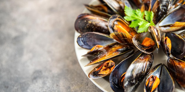 mussels in shells fresh seafood meal on the table copy space food background rustic top view