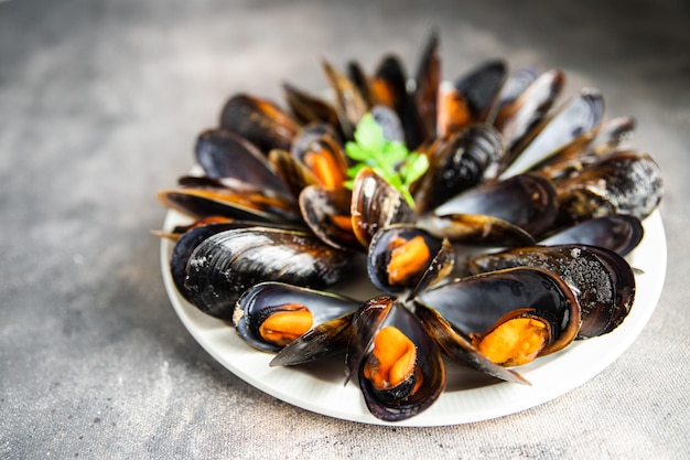 mussels in shells fresh seafood meal on the table copy space food background