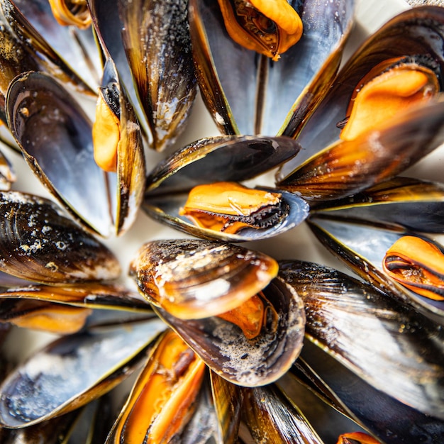 mussels in shells fresh seafood meal on the table copy space food background