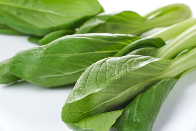 Mustard greens plant isolated on white background