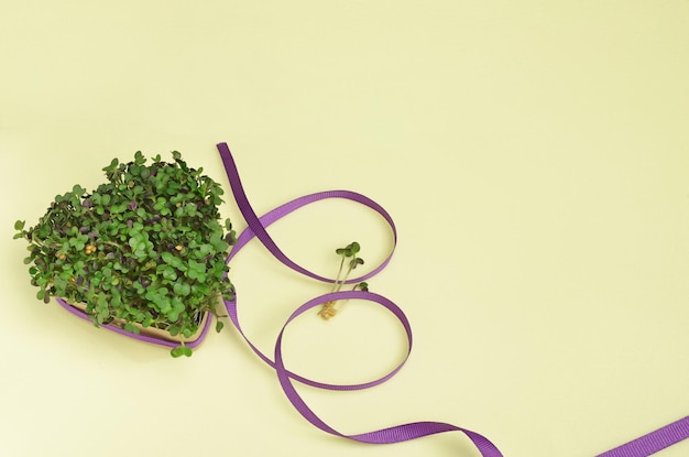 Mustard microgreens in the shape of a heart edged with a purple ribbon