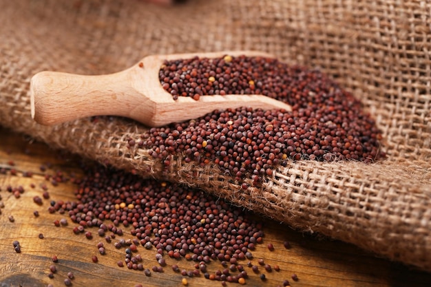 Mustard powder in wooden spoon on mustard seeds on sackcloth background