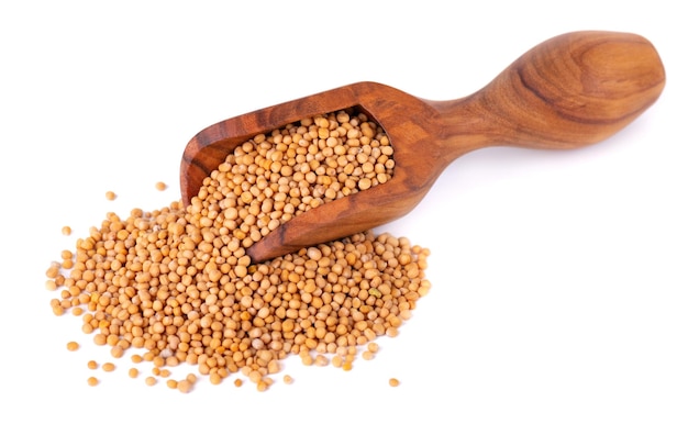 Mustard seeds in olive scoop isolated on white background Pile of dry mustard grains