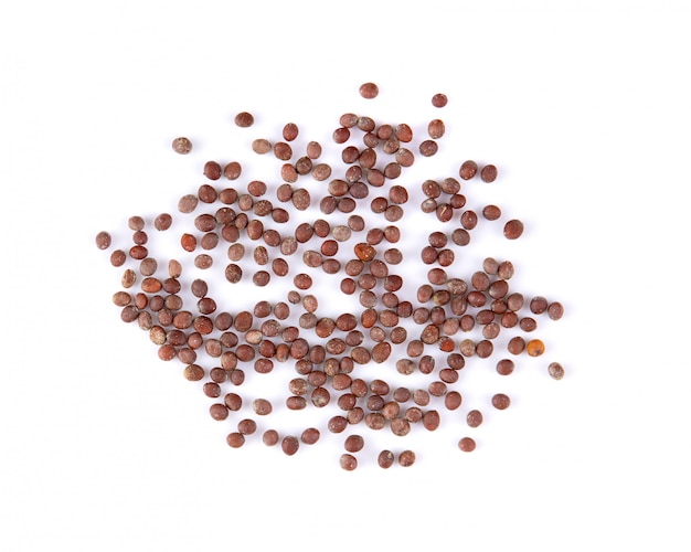 Mustard seeds on white wall