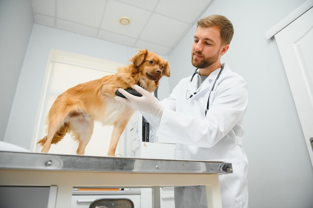 My best patient Cheerful male vet in work uniform holding a dog and smiling while standing at veterinary clinic