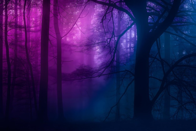 Mysterious forest with dark trees at night Scary halloween background