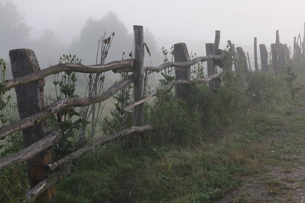 Mysterious Rustic Fence in Foggy Setting