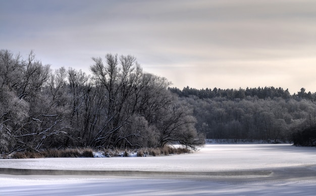 Mystical mesmerizing winter landscape