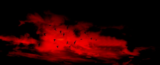 Mystical red sky with flying crows