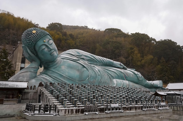 Nanzoin Temple Fukuoka Japan JANUARY 24 2023 Nanzoin Temple is Shingon Buddhist temple in Fukuoka Landmark is bronze statue of biggest Buddha