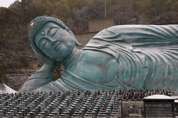 Nanzoin Temple Fukuoka Japan JANUARY 24 2023 Nanzoin Temple is Shingon Buddhist temple in Fukuoka Landmark is bronze statue of biggest Buddha