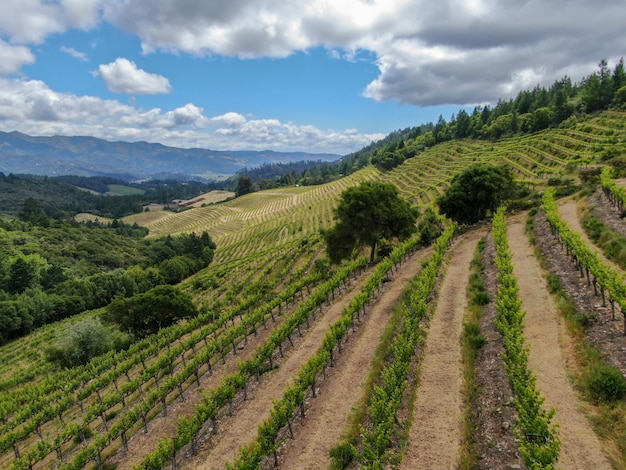 Napa County in California's Wine Country part of the North Bay region of the San Francisco