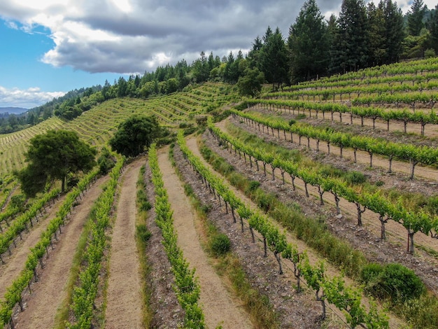 Napa County in California's Wine Country part of the North Bay region of the San Francisco