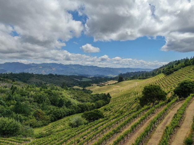 Napa County in California's Wine Country