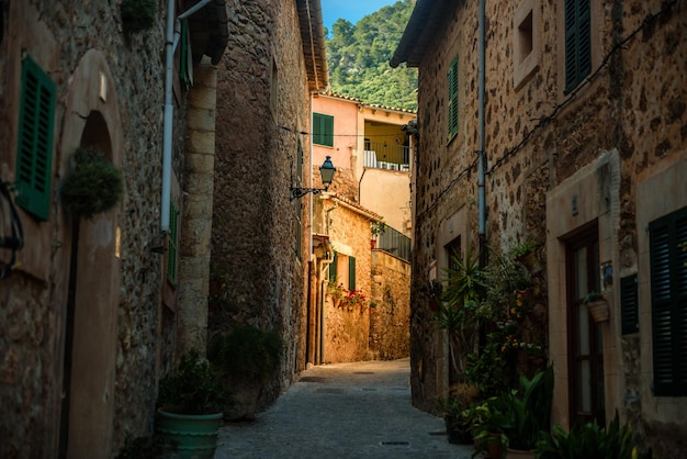 Narrow alley amidst buildings in town