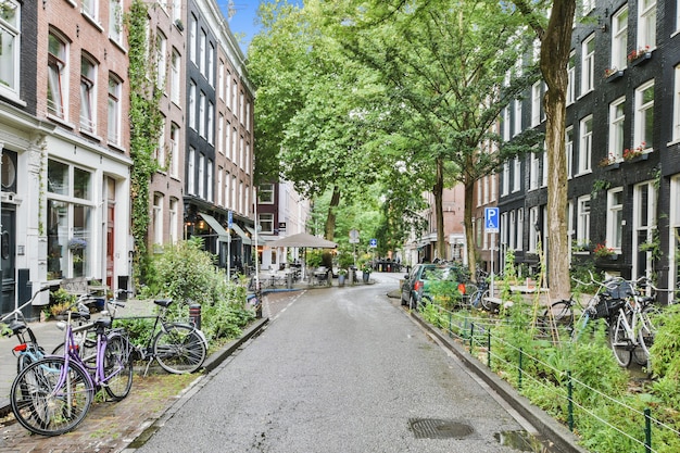 Narrow asphalt road between typical residential buildings in traditional architecture style and green trees in summer day in amsterdam