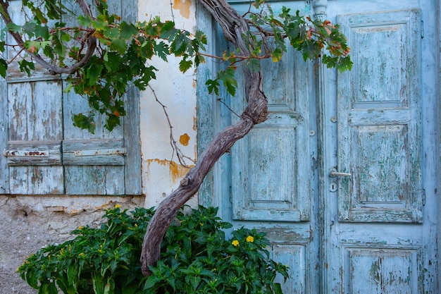 Narrow and colorful street in the village of Kritsa in the island of Crete. White street, beautiful