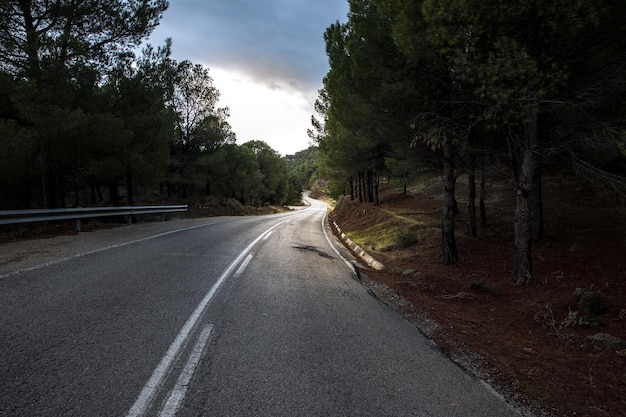 Narrow road through a forest