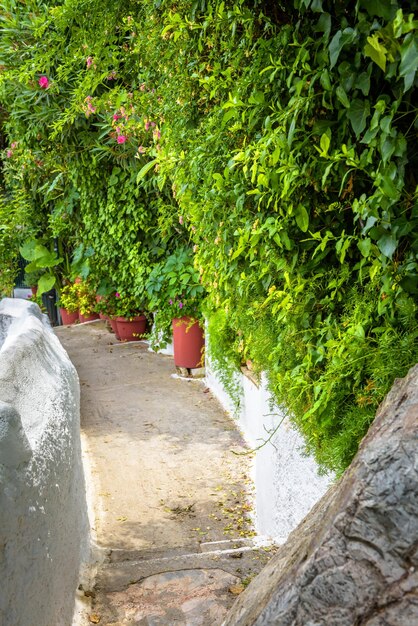 Narrow street in Anafiotika Plaka district Athens Greece Europe