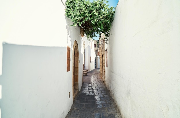 Narrow streets with houses whitewashed walls and blooming bushes in historical Greek town Lindos