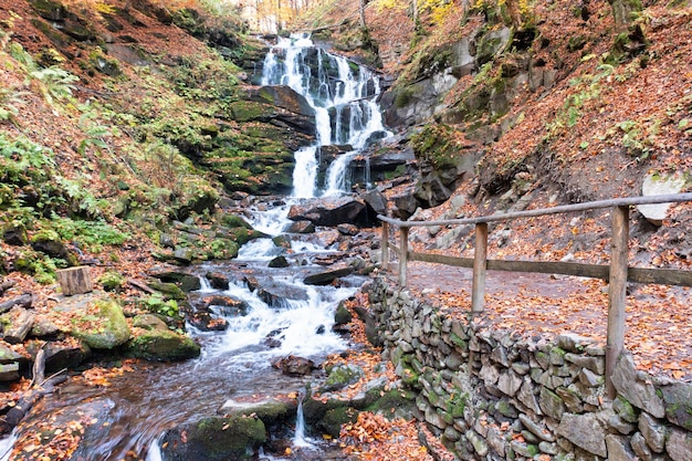 Narrow waterfall stream falling down rocks and stones of mountain steep slope in forest with yellowed trees and terracotta fallen leaves on autumn day