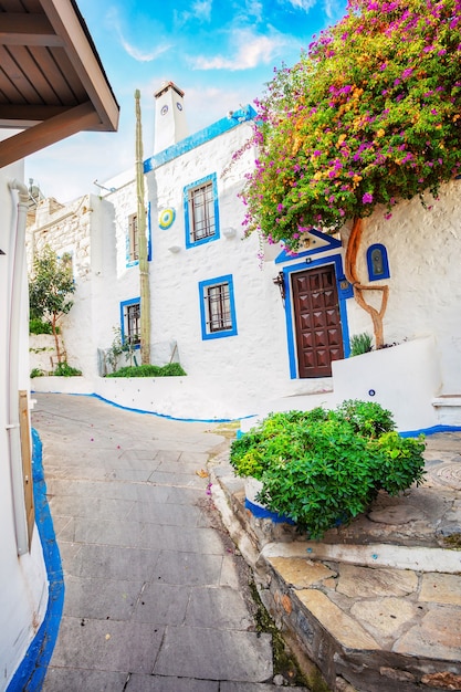 A narrow white and blue street of ancient Bodrum. Turkey