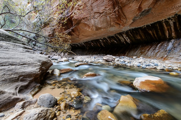 The narrow, Zion National park, USA