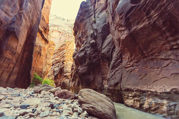 Narrows in Zion National Park, Utah