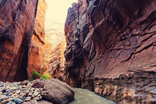 Narrows in Zion National Park, Utah