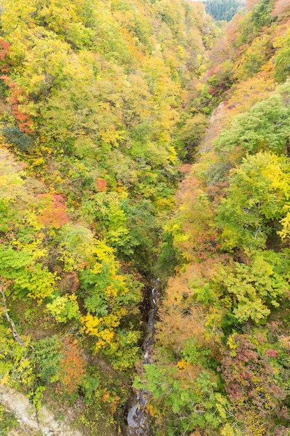 Naruko canyon